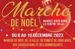 Le Marché de Noël des Jumelages du Vésinet et des Associations 2023