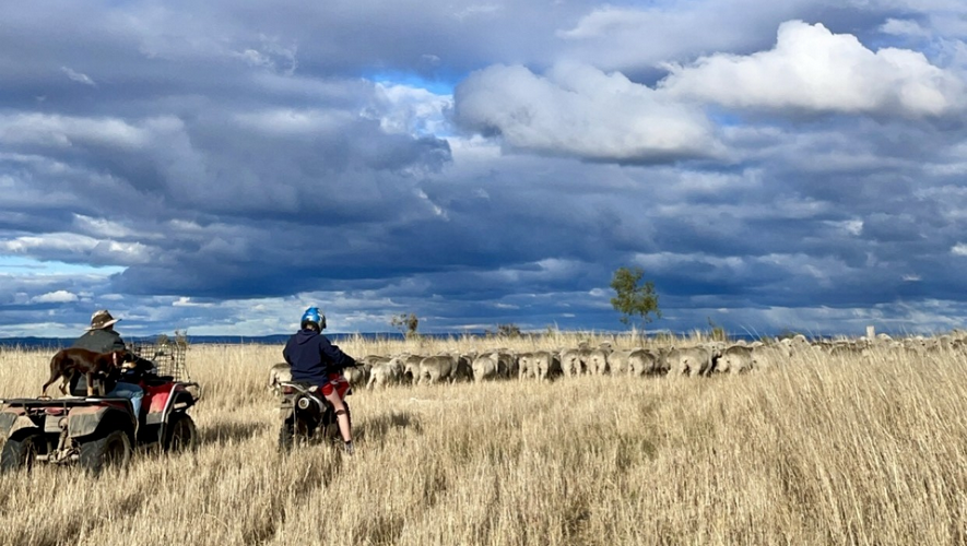 Témoignage de Arthur - séjour à Hunters Hill été 2024