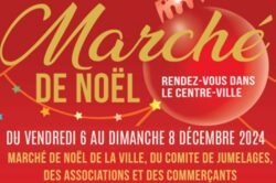 Le Marché de Noël des Jumelages du Vésinet, des Associations et des Commerçants 2024