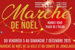 Le Marché de Noël de la Ville, du Comité de Jumelages et des associations 2025