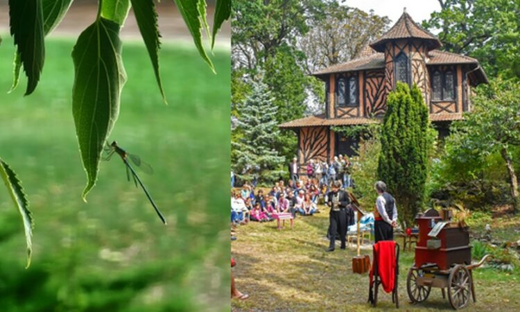 Concours Photo 2026 : les résultats