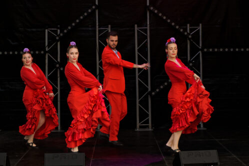 Concert_Flamenco rouge